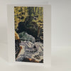 Margery Blom - Card - Little Qualicum Falls