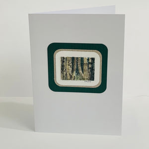 Lynn Orriss - Card - Tree Trunks - original hand coloured etching