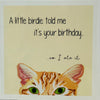 Sandra Russell - Card - "A Little Birdie Told Me It's Your Birthday"