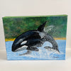 Carol Ann Owers - Painting - Orca Breaching