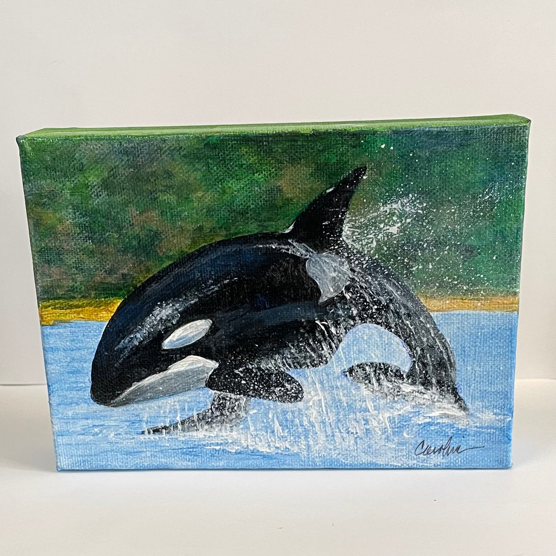 Carol Ann Owers - Painting - Orca Breaching