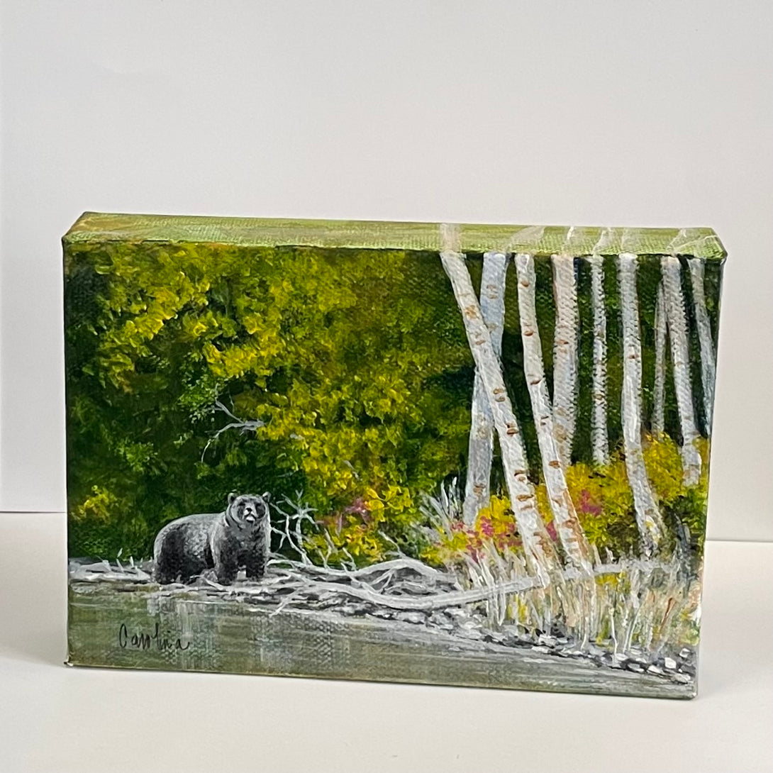 Carol Ann Owers - Painting - Black Bear