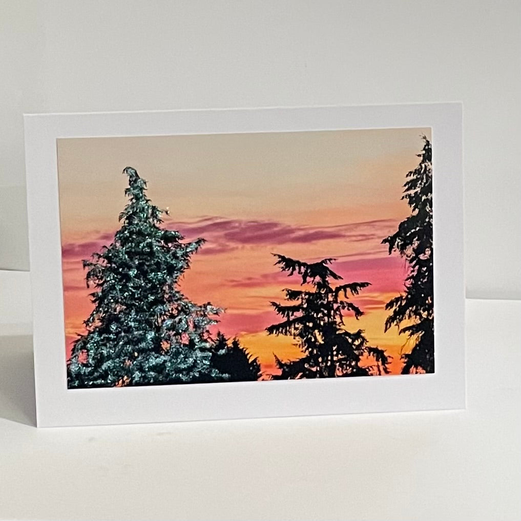 Jane Davidson - Card - Sunset Through the Trees -  - Card - McMillan Arts Centre & MAC Box Office