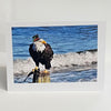 Jane Davidson - Christmas Card - Eagle in Top Hat