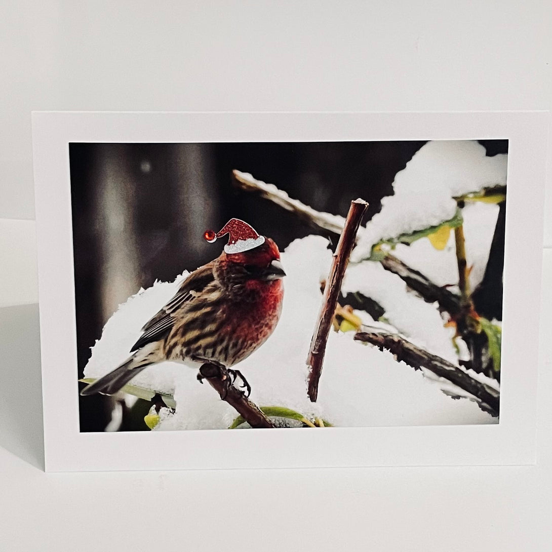 Jane Davidson - Christmas Card - Festive Robin