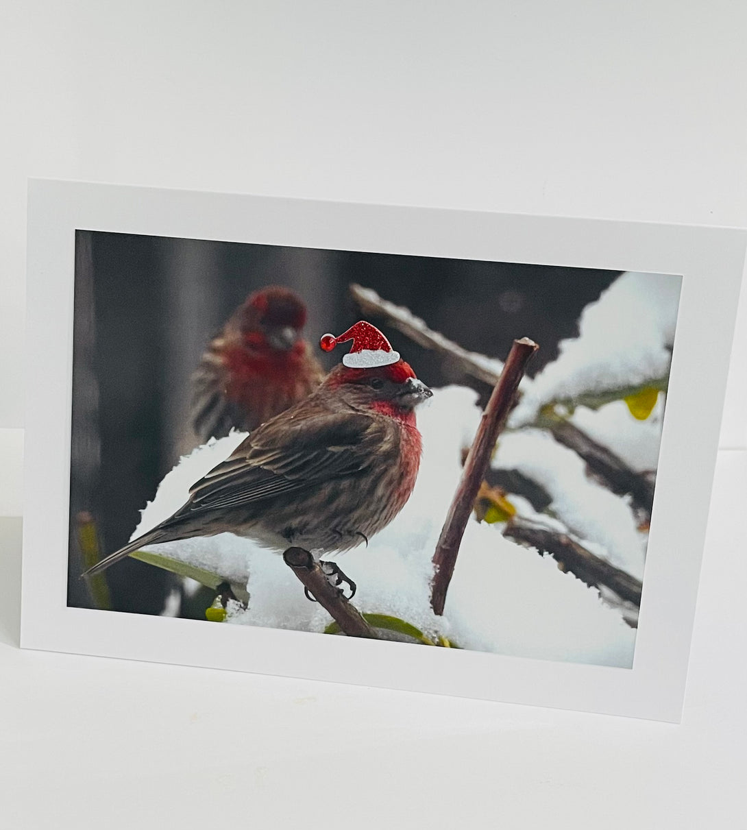 Jane Davidson - Christmas Card - Festive Robin 2