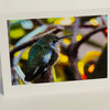 Jane Davidson - Card - Hummingbird