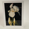 Jane Davidson - Card - White Iris