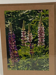 Load image into Gallery viewer, Jane Davidson - Card - Delphiniums