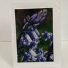 Jane Davidson - Card - Bluebells