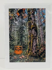 Load image into Gallery viewer, Jane Davidson - Card - Forest with owl applique