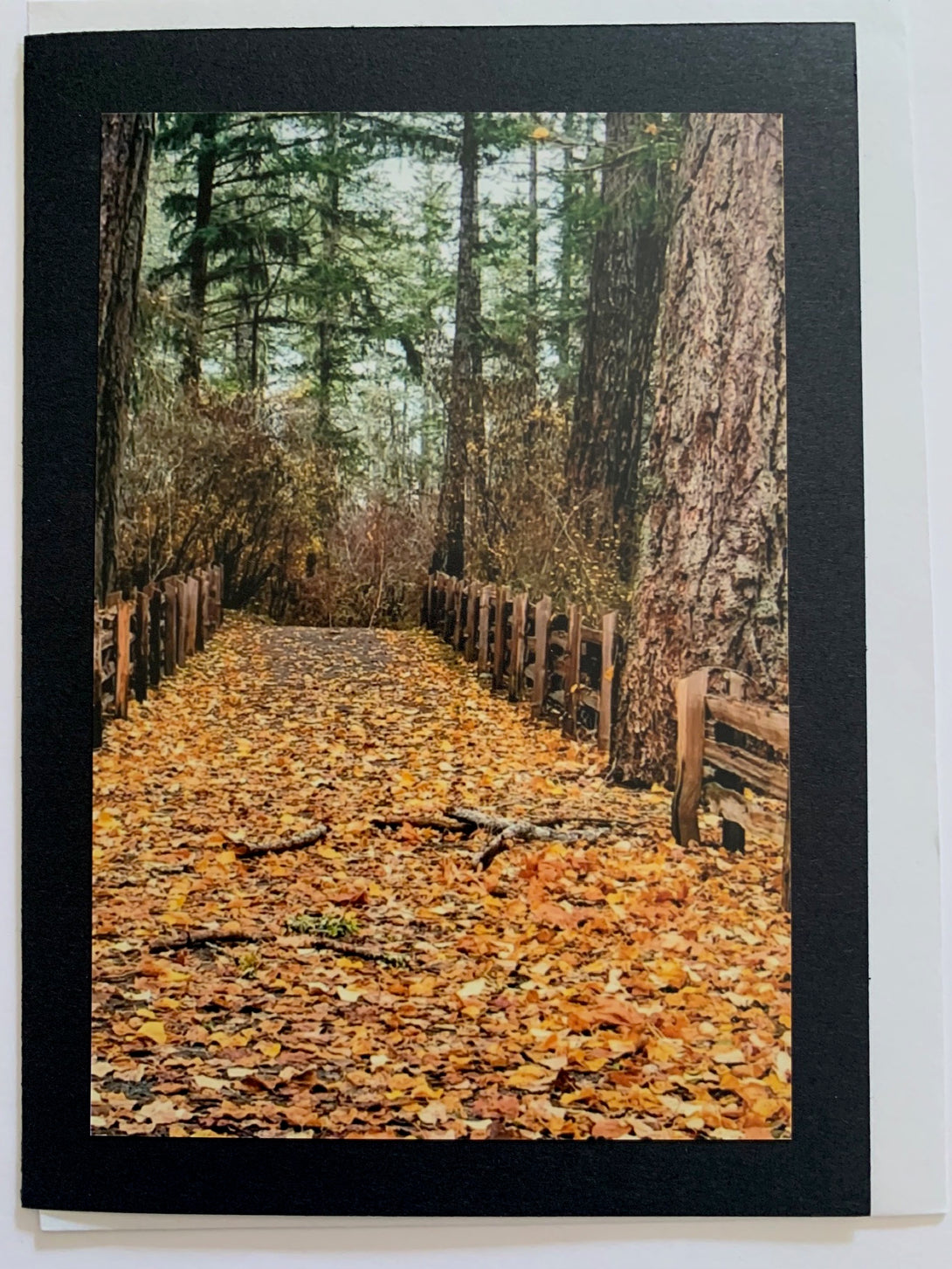 Linda Rutquist - Card - Photo - Miracle Beach
