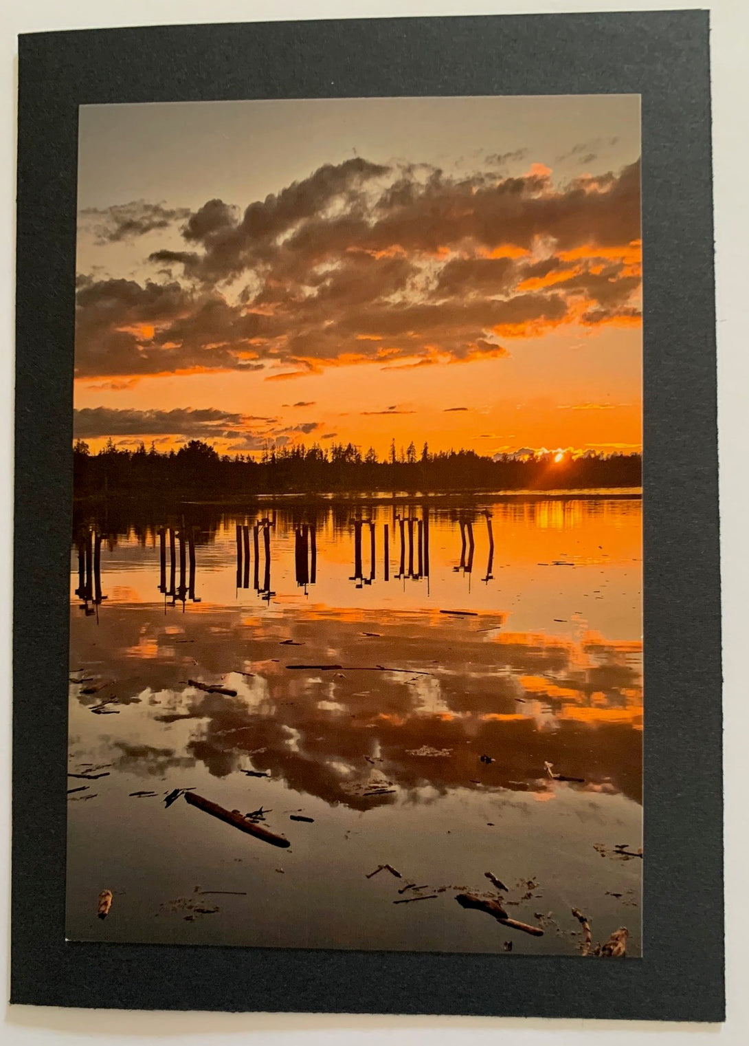 Linda Rutquist - Card - Photo - Oyster River Bird Park