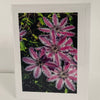 Jane Davidson - Card - Pink Clematis