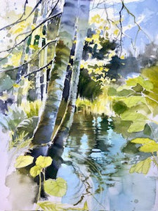 MAC School - Art Gems Watercolours: Streams & Ponds, Reflections & Foliage - Oct 26. 2024 - 10 AM - McMillan Arts Centre - McMillan Arts Centre Gallery, Gift Shop and Box Office - Vancouver Island Art Gallery