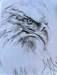 MAC School - Art Bites - Eagle in Charcoal - Dec 8. 2024 - 10 AM - McMillan Arts Centre - McMillan Arts Centre Gallery, Gift Shop and Box Office - Vancouver Island Art Gallery