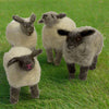 Kate Beauregard - Felted Sheep