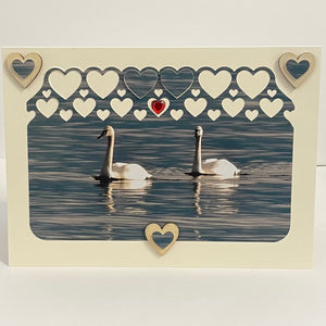 Jane Davidson - Card - Photo of swans with hearts - Jane Davidson - McMillan Arts Centre Gallery, Gift Shop and Box Office - Vancouver Island Art Gallery