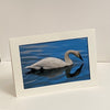 Colleen Stewart - Card - Swan Refection