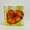 Mary-Ann Quist - Painting - Orange Poppy - 4" x 4"