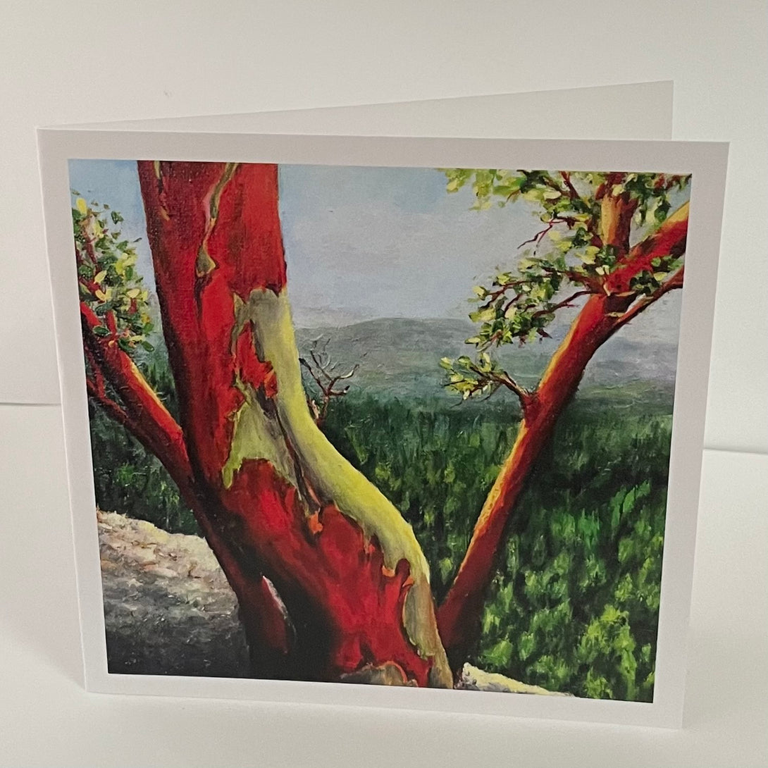 Margery Blom - Card - Arbutus at Little Mountain - Margery Blom - McMillan Arts Centre Gallery, Gift Shop and Box Office - Vancouver Island Art Gallery