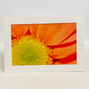 Colleen Stewart - Card - Orange petals
