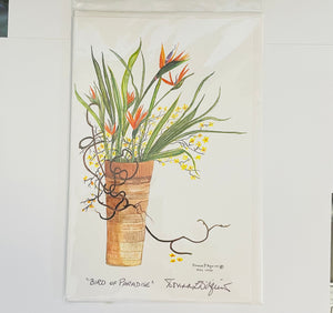 Donna D'Aquino - Card - "Bird of Paradise" - oversized 6" x 9" - Donna D'Aquino - Card - McMillan Arts Centre & MAC Box Office