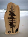Drift Roots - Driftwood -  Sitka tree with eagle, laser cut  - 8.5"