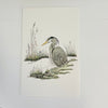 Donna D'Aquino - Card - "Heron Series" oversized 6" x 9"