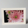Colleen Stewart - Card - Pink Dahlia