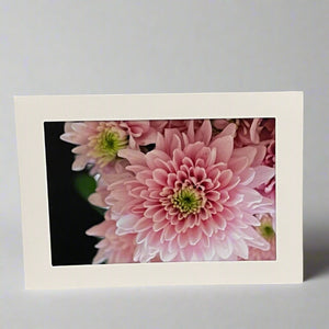 Colleen Stewart - Card - Pink Dahlia - Colleen Stewart - McMillan Arts Centre Gallery, Gift Shop and Box Office - Vancouver Island Art Gallery