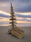 Drift Roots - Driftwood Tree - 6"