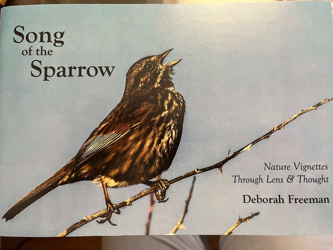 Song of the Sparrow, by Deborah Freeman by Deborah Freeman - McMillan Arts Centre - Vancouver Island Art Gallery
