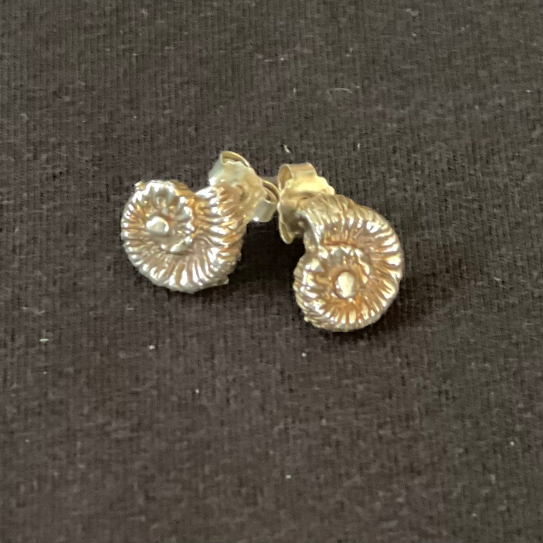 Karen Schmidt Humiski -Stud Earrings - Sterling Silver with patina - Ammonite by Karen Schmidt Humiski - McMillan Arts Centre - Vancouver Island Art Gallery