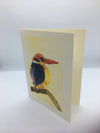Pam Vest - Card - Black-backed Kingfisher