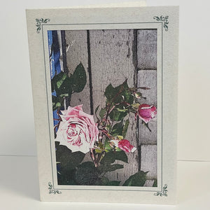 Penny Marshall - Card-  "A Summer Rose"