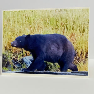 Nancy Butler - Card -Photo of black bear walking left by Nancy Butler - McMillan Arts Centre - Vancouver Island Art Gallery