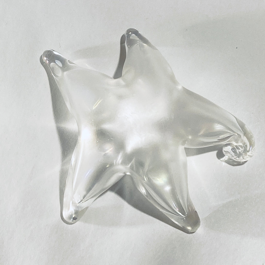 Robert Held - Blown Glass Starfish clear glass by Robert Held - McMillan Arts Centre - Vancouver Island Art Gallery