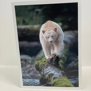 Jim Decker - Card - Spirit Bear by Jim Decker - McMillan Arts Centre - Vancouver Island Art Gallery