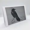 Muriel Bush - Card - Raven on Rock