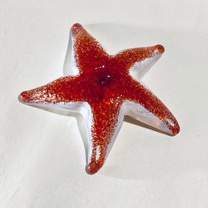 Robert Held - Blown Glass Starfish in opaque red with white by Robert Held - McMillan Arts Centre - Vancouver Island Art Gallery