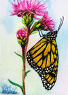Wendy Schmidt - Card - "Monarch's Delight"