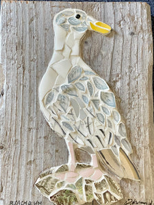 Deidre L. Michael - Mosaic - Seagull- ceramic shards on wood by Deidre L. Michael - McMillan Arts Centre - Vancouver Island Art Gallery