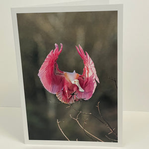 Jim Decker - Card - "Coming in for a Landing"  Roseate Spoonbill