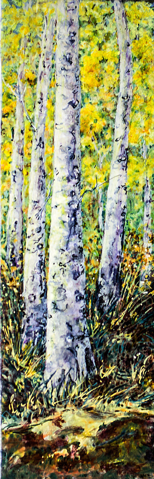 Lynn Orriss - Acrylic Painting - Birch Trees Season II by Lynn Orriss - McMillan Arts Centre - Vancouver Island Art Gallery