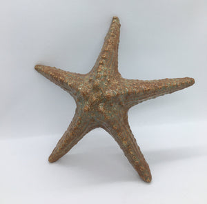 Ponderosa Designs - Pottery - Horned sea star, forest moss colour, 8 inches by Elaine Bohm - McMillan Arts Centre - Vancouver Island Art Gallery
