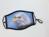 Wendy Schmidt - Mask - Bald Eagle