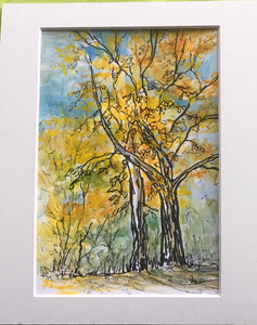 Fran Renwick - Watercolour Painting -  Yellow Trees, matted, unframed by Fran Renwick - McMillan Arts Centre - Vancouver Island Art Gallery