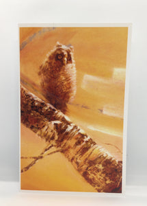 Ice Bear - Card - Owl by Ice Bear - McMillan Arts Centre - Vancouver Island Art Gallery