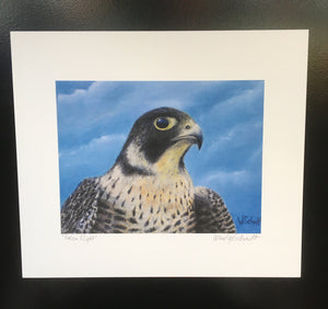 Wendy Schmidt - Print - "Falcon Flight" 14" x 12"